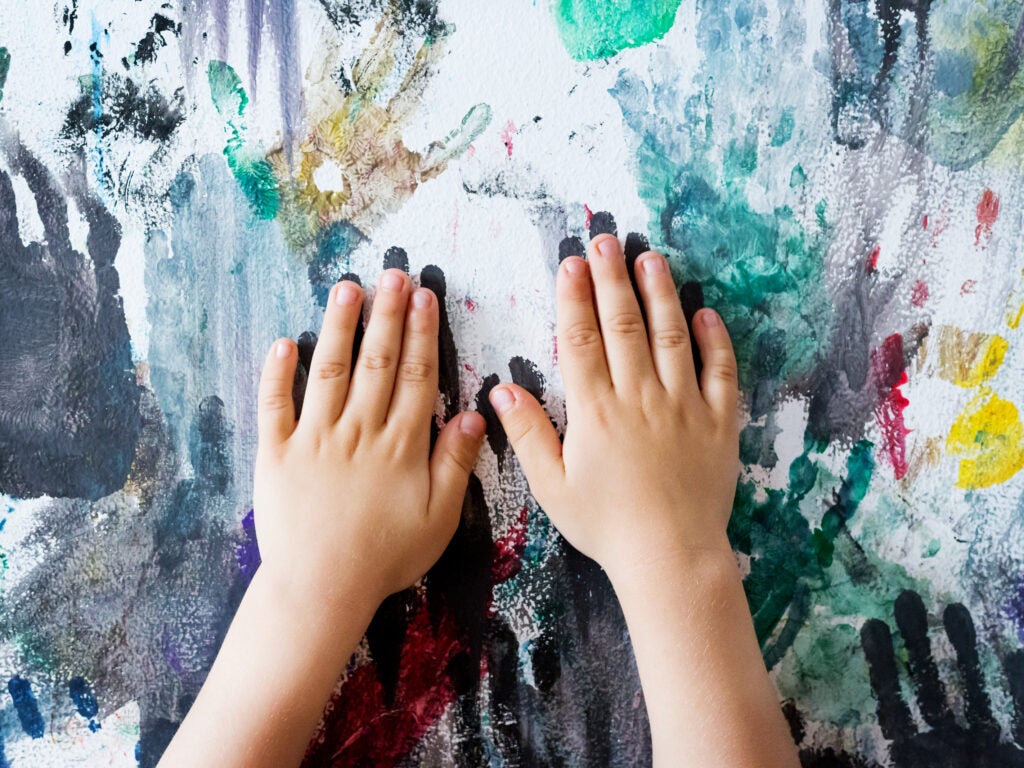 Earthjustice is partnering with community groups to fight for just and protective EPA standards for lead in the dust and paint in our homes.
(Dedi Grigoroiu/Shutterstock)