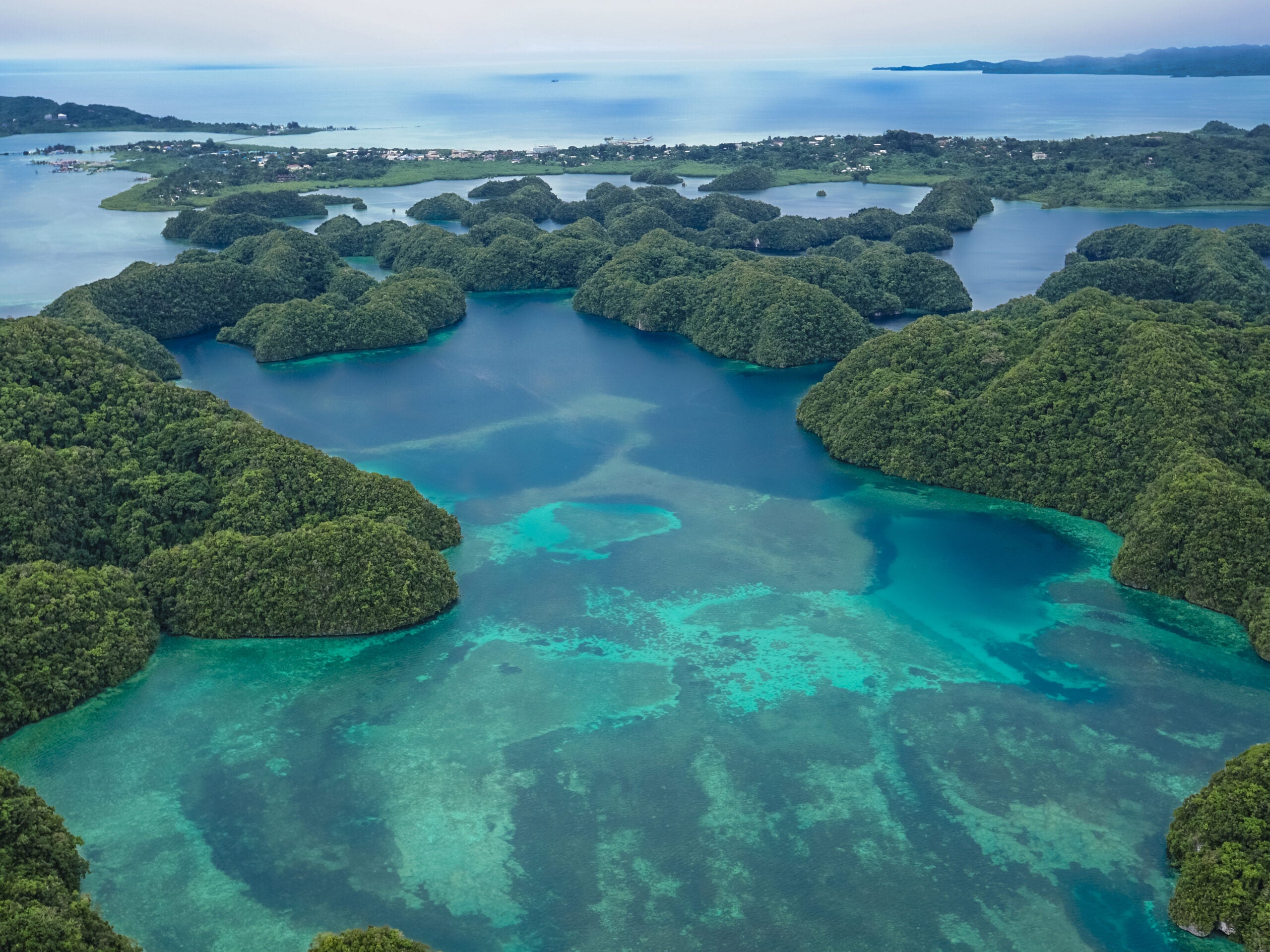 The U.S. exit from the Paris Agreement means it’s up to the rest of us to move forward with climate change, says President Tommy Remengesau. His island nation is doing just that.