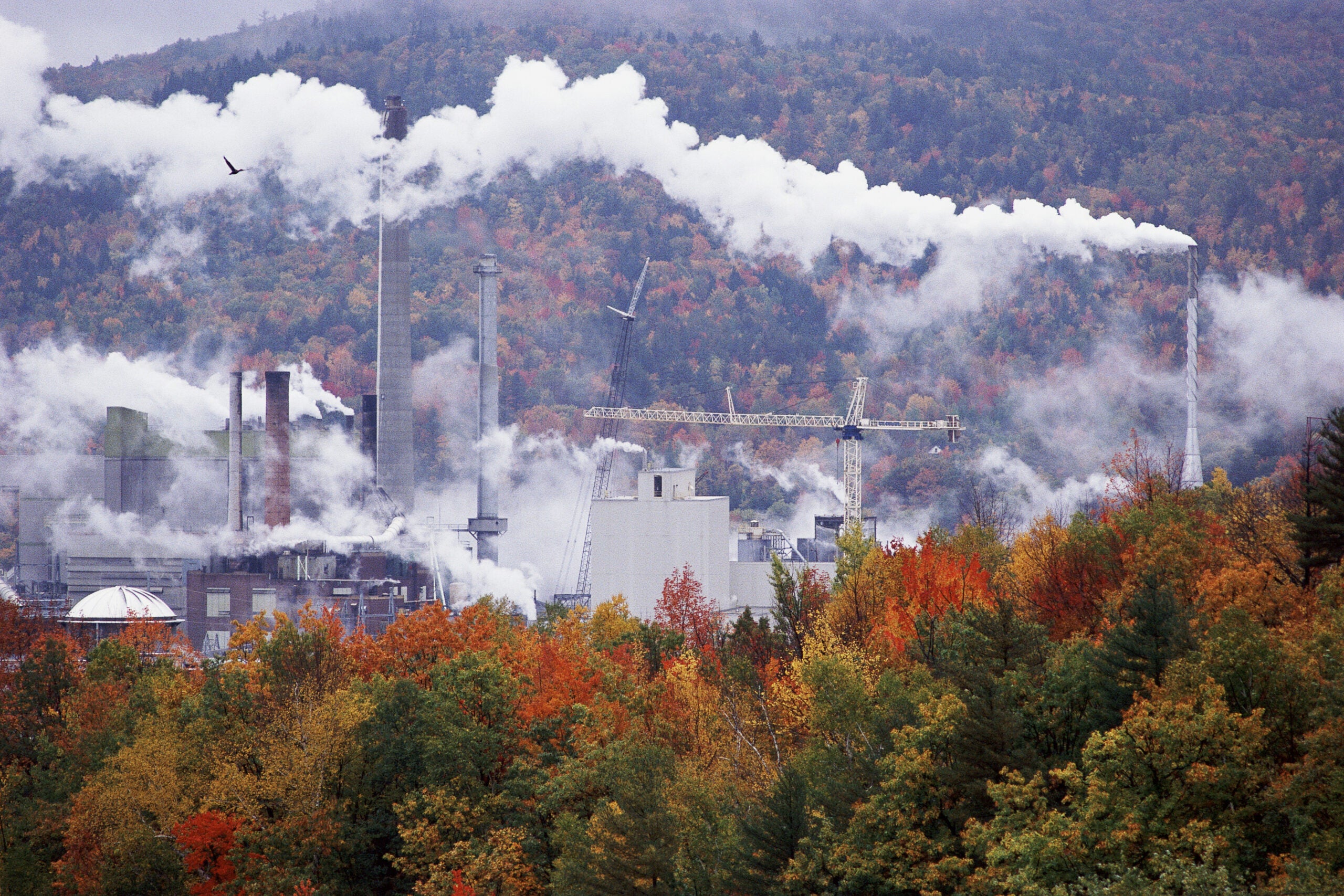 Paper mill in Massachusetts