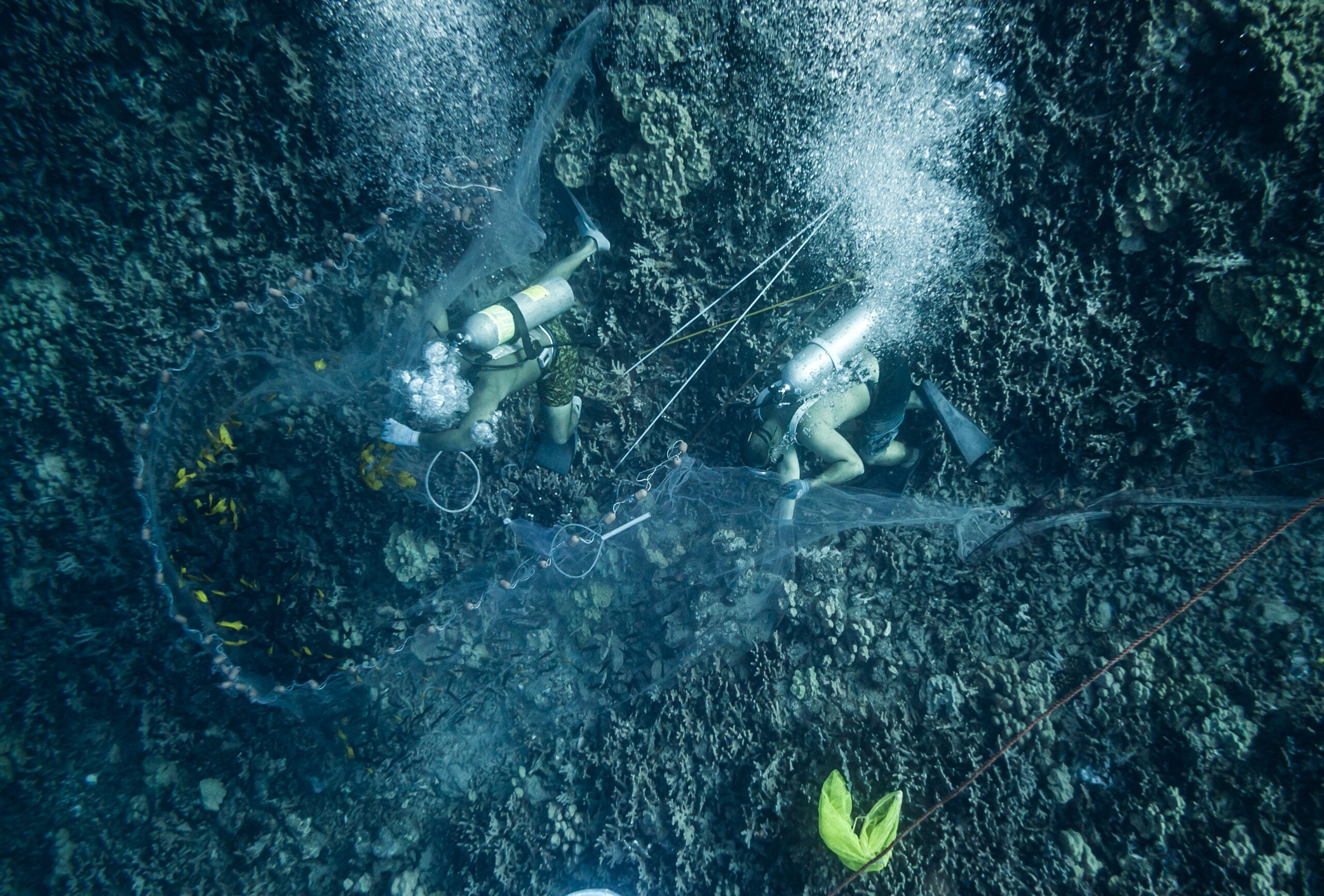 Aquarium collectors taking fish from a reef in Hawai‘i.