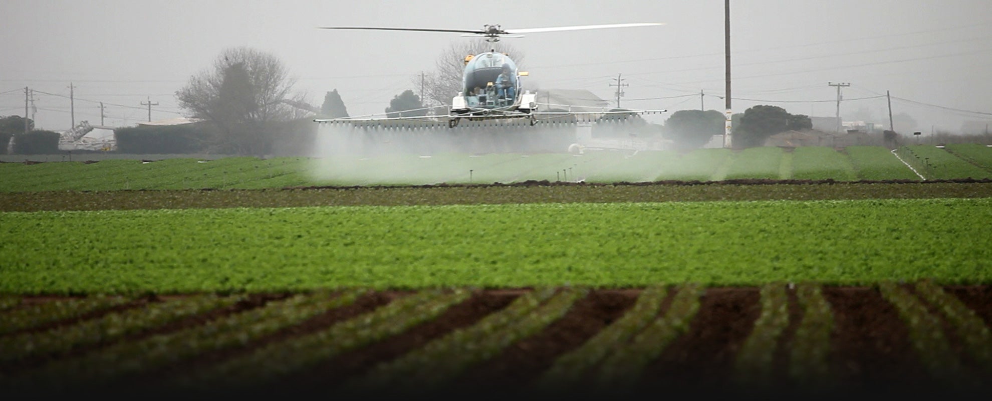 Pesticides being applied to a farm field, near homes.