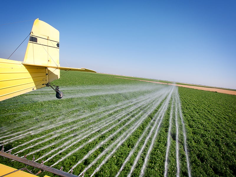 The EPA should ban neurotoxic pesticides now under review and protect against them in the meantime with buffer zones.
(Jason Lugo/iStock)