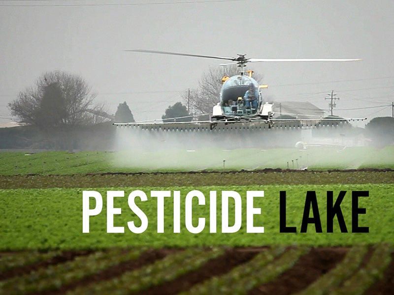 Pesticide Lake: The Poisoning of the Workers of Apopka, Florida.