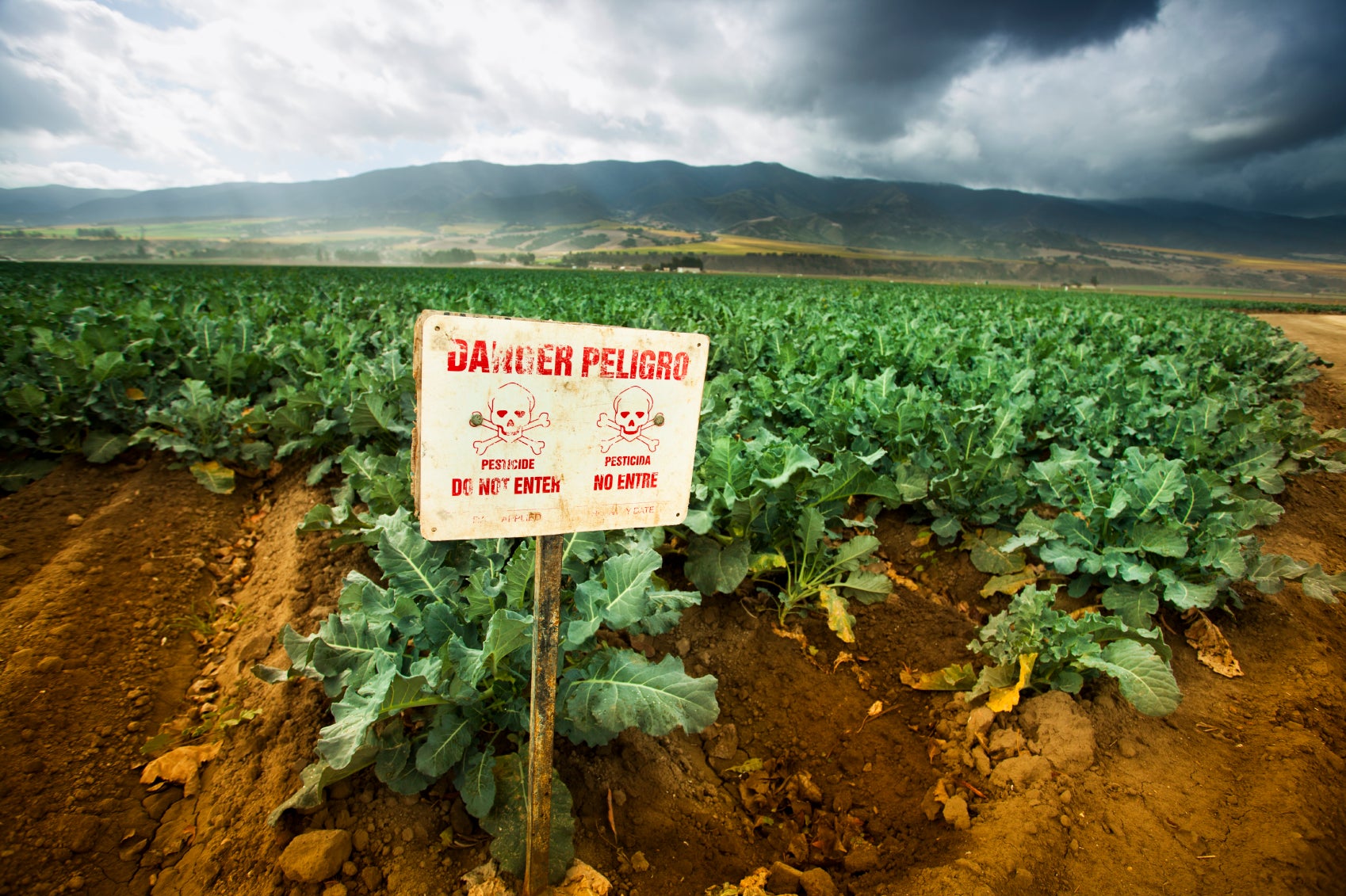 Poison pest control chemicals sprayed on a  field in the Salinas Valley, California.
(Pgiam / iStockphoto)