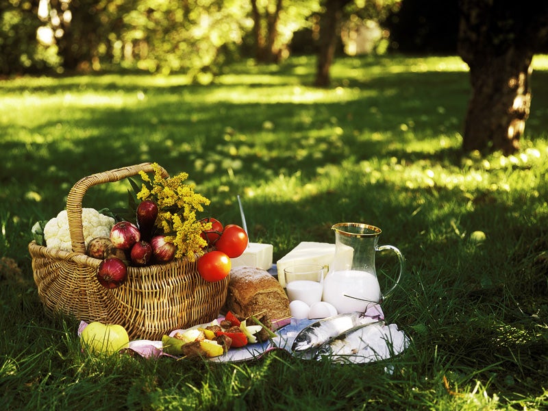 Fresh foods at a picnic remind us of the work farmworkers do to get our food from farms to the table.