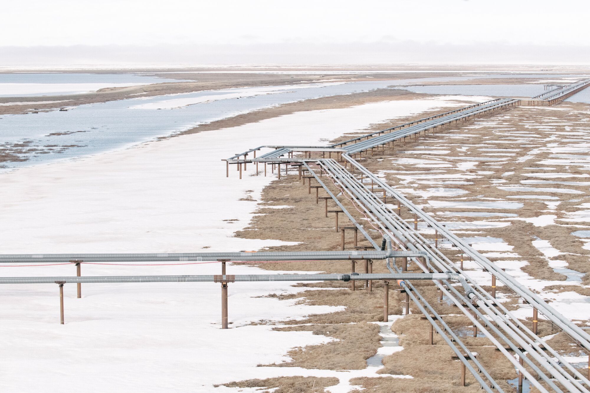 Fossil fuel pipelines crossing the Western Arctic in Alaska.