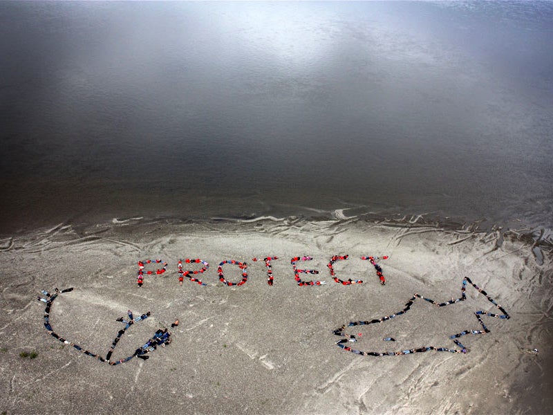 “Protect” spelled out by activists in the Arctic National Wildlife Refuge.
(Camila Roy/Sectral Q)