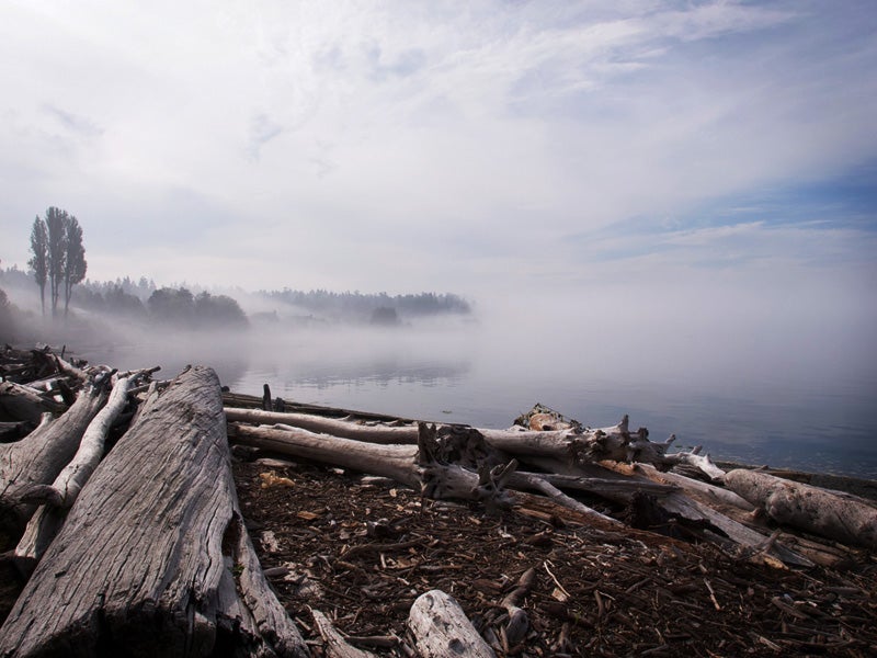 Morning fog lingering on a Puget Sound beach. (Ingrid Taylar / CC BY-NC 2.0)