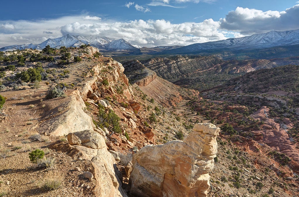 Planning will now move forward for the Ragged Mountain proposed wilderness in Southern Utah.
(Ray Bloxham / SUWA)