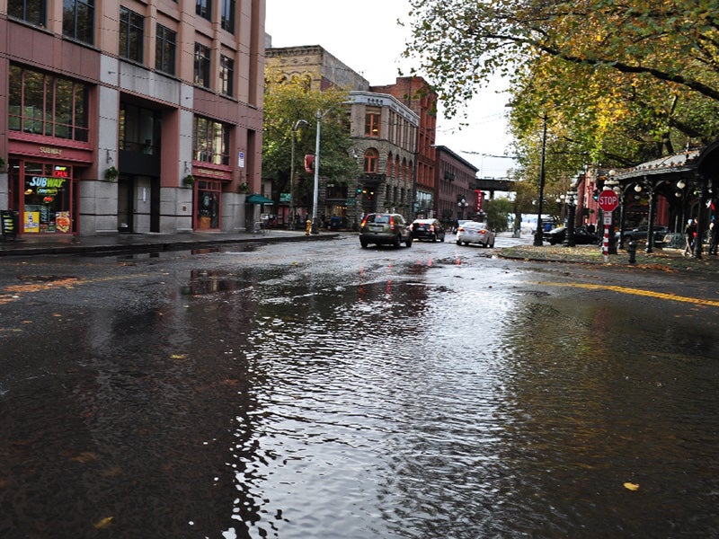 Seattle drenched by an autumn storm. When storm water runs off parking lots, buildings, and other urban development, it carries with it a mix of toxic metals.
(Photo courtesy of Peter Mooney)