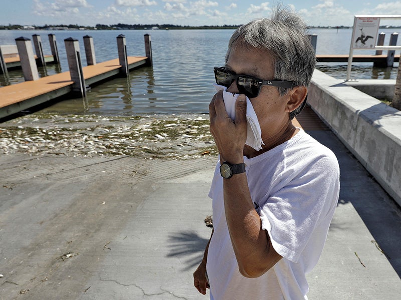 Alex Kuizon covers his face as he stands near dead fish at a boat ramp in Bradenton Beach, Fla., on  Aug. 6, 2018. Normally crystal clear water was murky, and the smell of dead fish permeated the air.