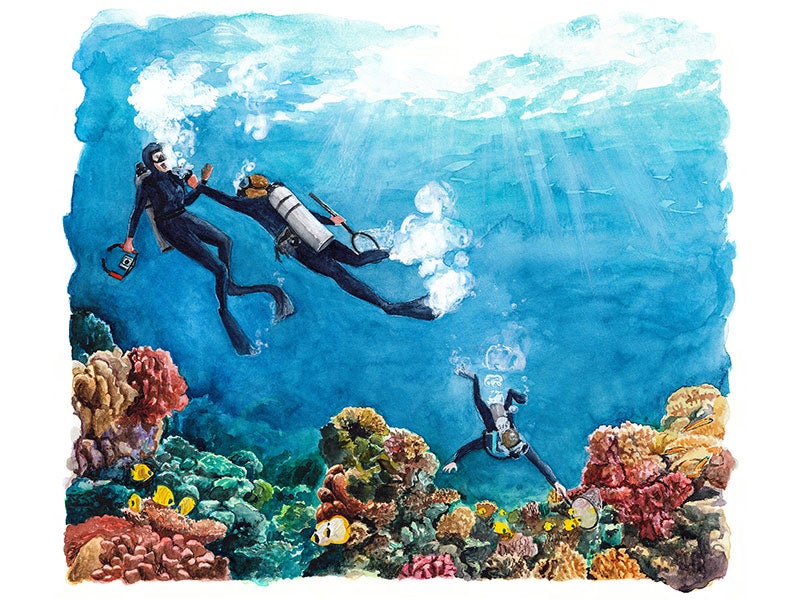 Illustration of underwater attack. Three divers, two with nets, one with a camera. One diver with a net in hand has other hand removing the mouth piece of the diver with the camera. Reef below with fishes swimming.