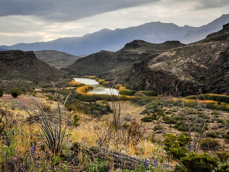 The Rio Grande River running through Big Bend Ranch State Park, Texas.