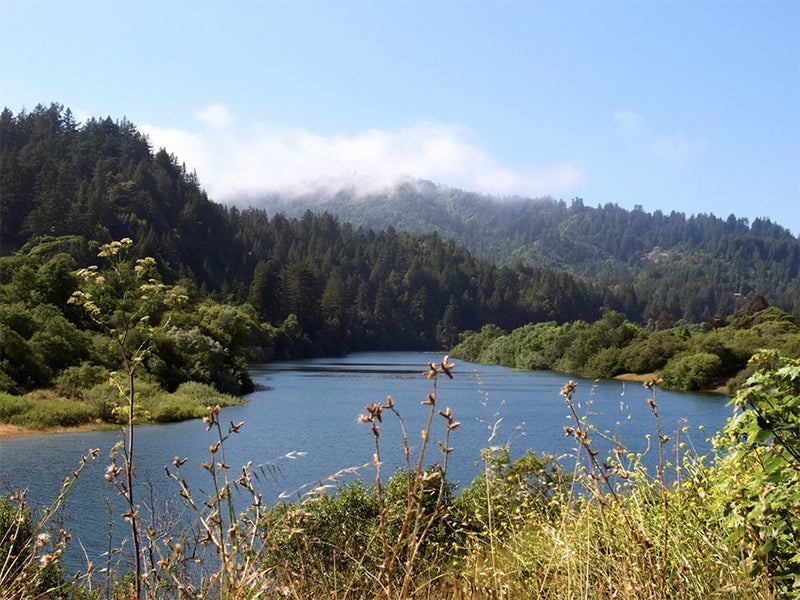 The Russian River, in California&#039;s Sonoma County.