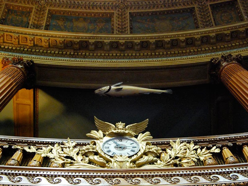 The "Sacred Cod" in Massachusetts' State House.
(Photo courtesy of Christina B. Castro)