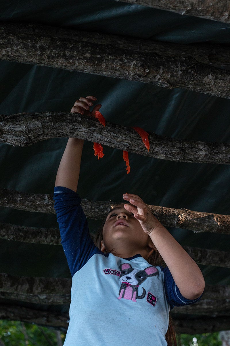 Preparing and preserving salmon in the Yukon-Kuskokwim Delta.