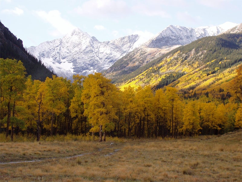 Upper Huerfano Valley in the Pike and San Isabel National Forests.
(U.S. Forest Service Photo)