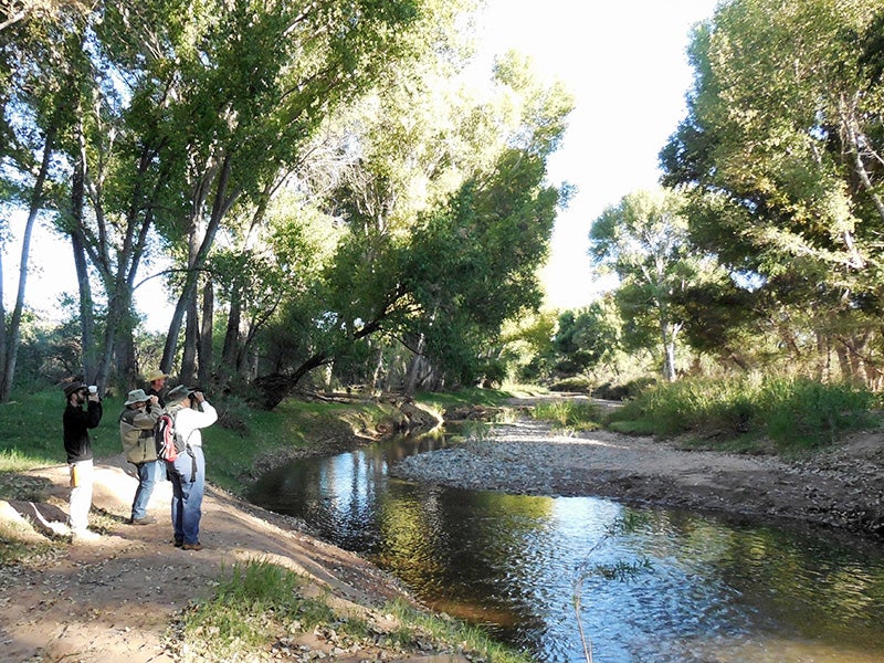 "AZFO Birders at San Pedro River, Gray Hawk Ranch" William Herron/CC BY-SA 2.0