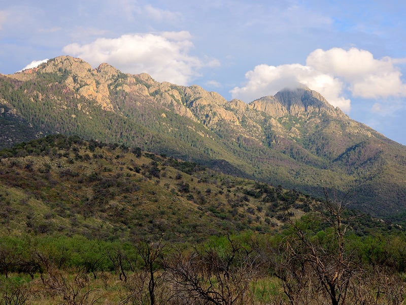 The Ce:wi Duag (the O’odham name for the Santa Rita Mountains) located south of Tucson, AZ is a place of great cultural and ecological significance to the Tohono O’odham Nation, the Pascua Yaqui Tribe, the Hopi Tribe and other tribes.
(Joesboy / Getty Images)
