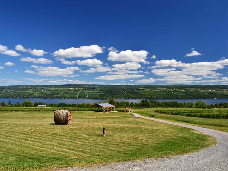 A pair of gas storage projects are proposed for underground salt caverns on the shores of Seneca Lake, in the Finger Lakes region of Western New York.
(Photo courtesy of Liren Chen)