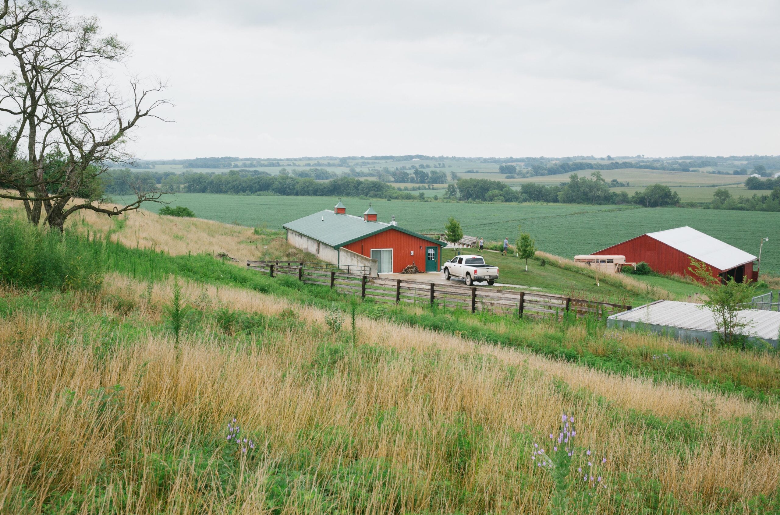 A farm near Clarinda in southwest Iowa, where sustainable farming practices are used.
(Brad Zweerink for Earthjustice)