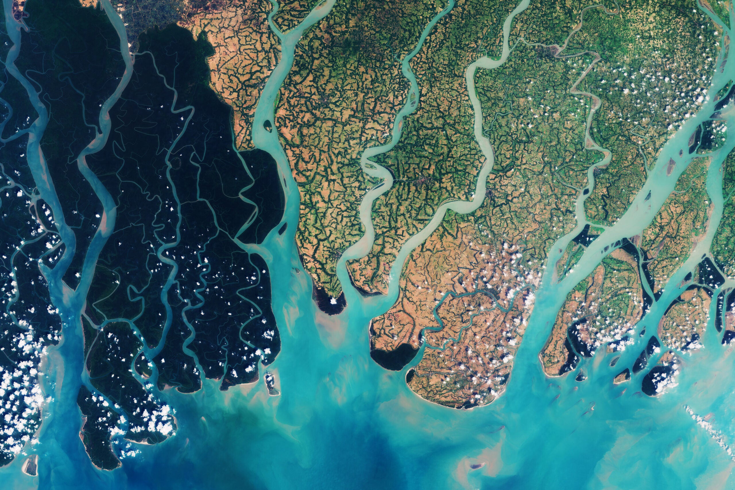 The Sundarbans mangrove forest as seen from outer space.