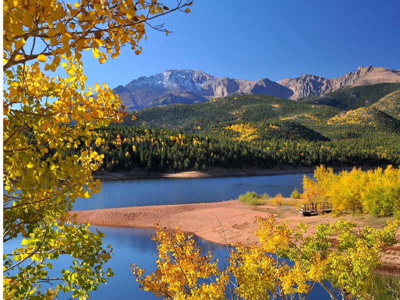 A recent Earthjustice settlement will allow the public and wildlife experts a say in where and when motorized vehicles are allowed in the iconic Pike-San Isabel National Forest.
(John Hoffman/Shutterstock)