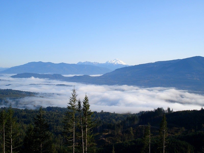 From Devils Mountain Skagit County, Washington
(wormwould / CC BY-NC 2.0)