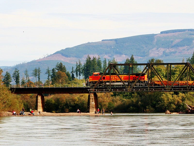 Skagit River in Burlington, WA.
(Photo courtesy of Brent M. / Flickr)