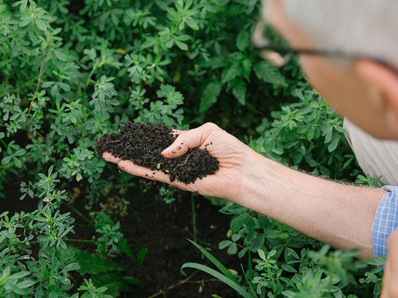 Peter Lehner, managing attorney of Earthjustice's Sustainable Food & Farming Program, examines the soil of a farm in Iowa.