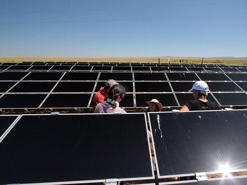 Similar in concept to a community garden, community solar allows multiple customers to purchase electricity from the same solar installation.
(Russ Ferriday / CC BY-SA 2.0)