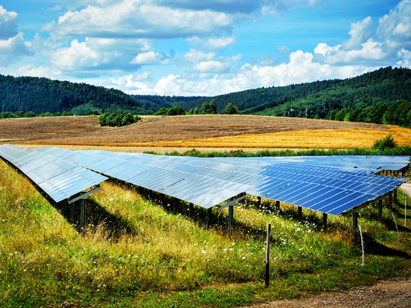 These solar panels soak up the sun in a rural energy field.
(Symbiot / Shutterstock)