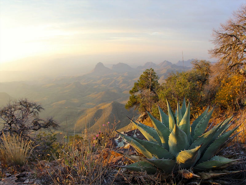 A hazy view at the South Rim overlook of Big Bend National Park in Texas. Haze pollution is one of the biggest threats facing our parks and those who want to enjoy them.
(David Fulmer / CC BY 2.0)