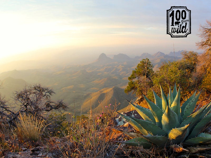 A hazy view at the South Rim overlook of Big Ben National Park in Texas.