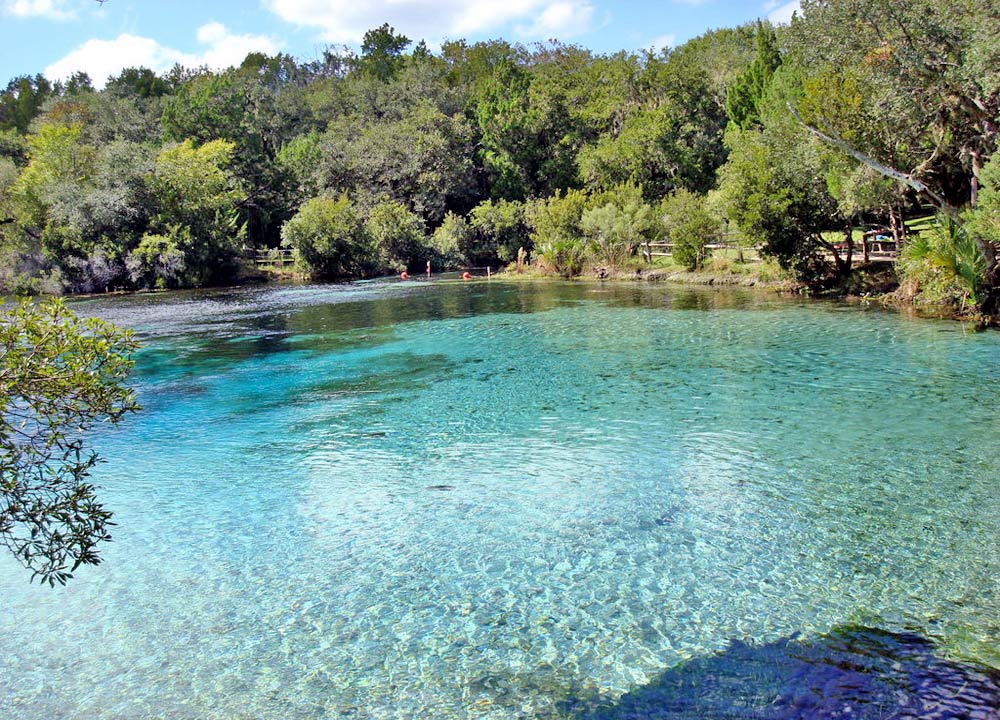 Silver Glen Springs in the Ocala National Forest, Florida