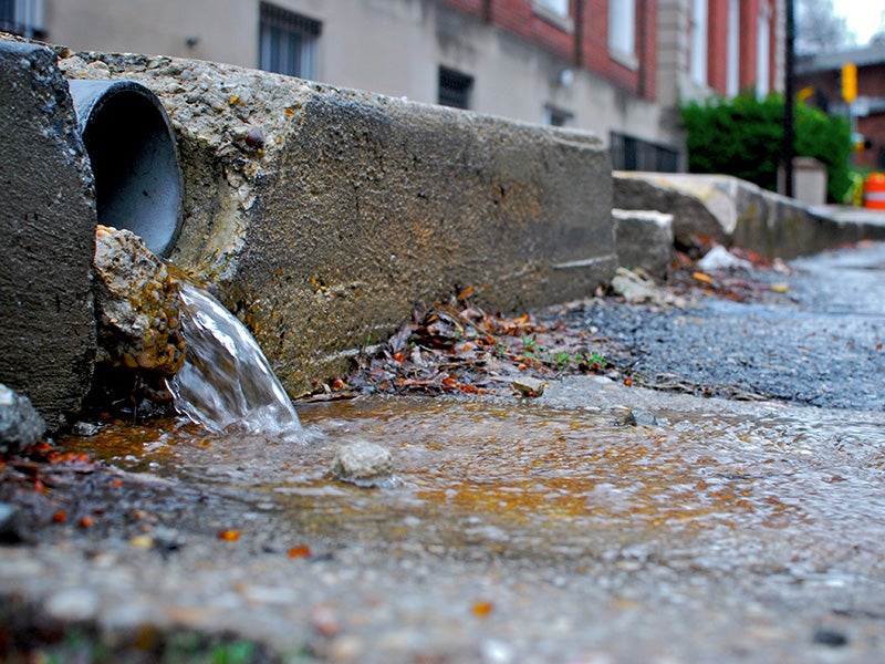 Stormwater runoff in Annapolis, MD. Urban stormwater runoff carries with it trash, chemicals and other pollutants, ultimately flowing into the Chesapeake Bay.
(Photo courtesy of Chesapeake Bay Program)