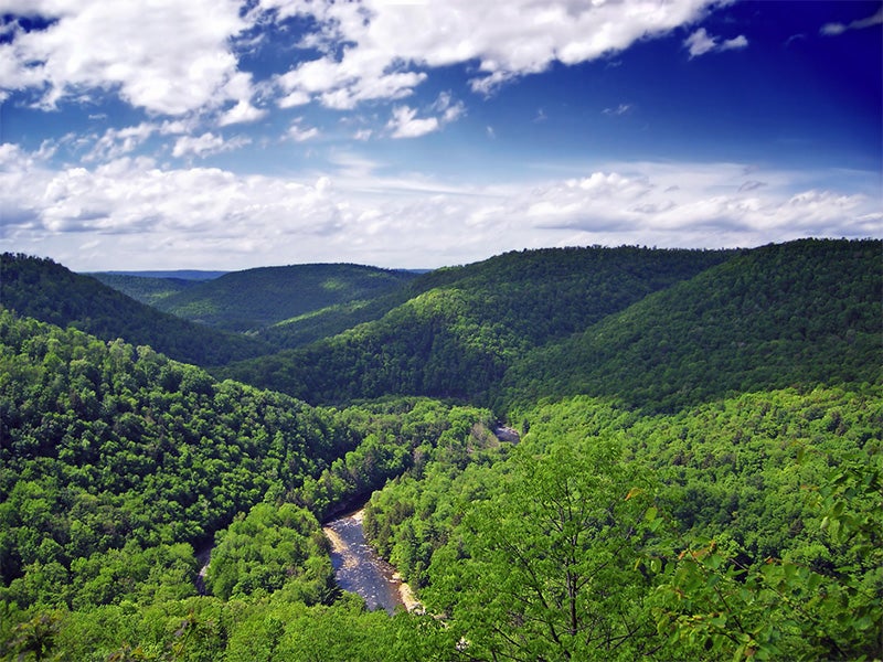 Canyon Vista, World&#039;s End State Park, Sullivan County, PA.