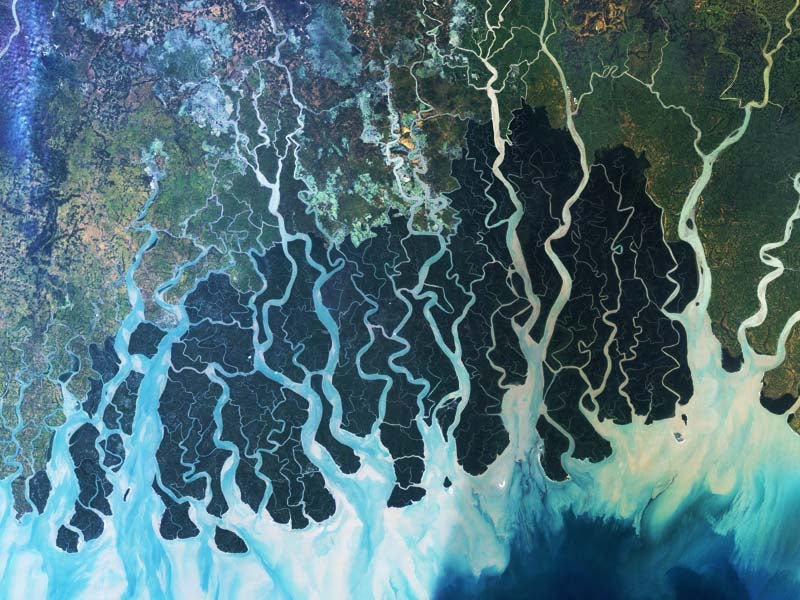 The tidal delta of the Sundarbans is home to tigers and river dolphins and is a vast nursery for fish, shrimp and crabs that feed millions of people. The UN recently urged Bangladesh to scrap a coal-fired power plant planned nearby due to pollution risks.
(NASA Earth Observatory)