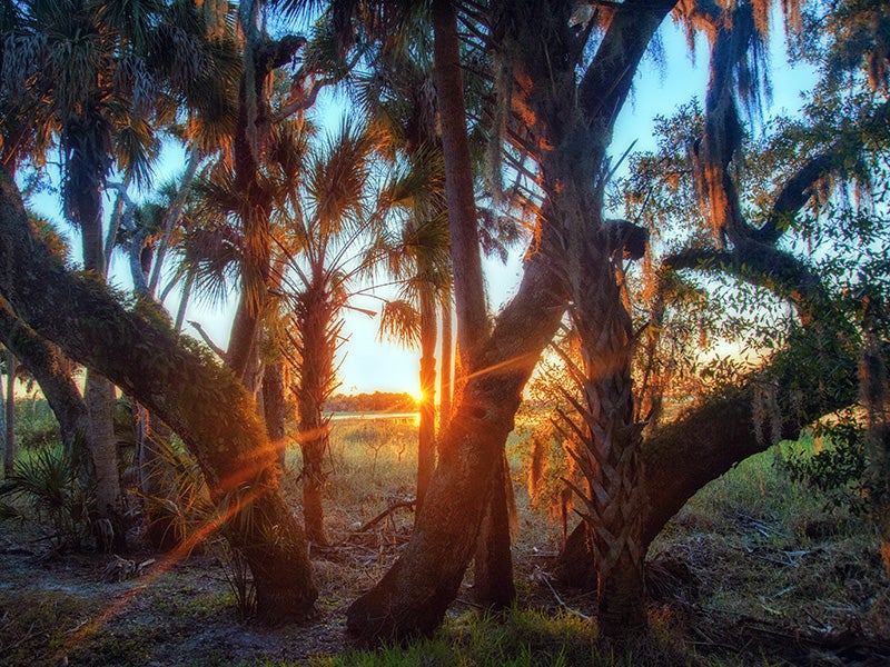 The sun sets along Myakka River in Florida.