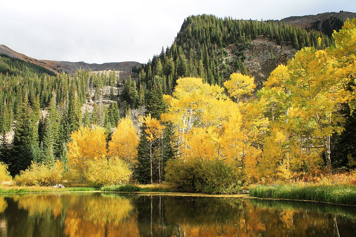 The Sunset Roadless Area in Colorado, September, 2016.