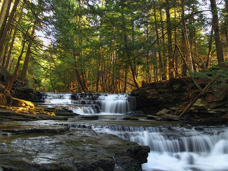 Fall Brook in Susquehanna County. The pipeline and access roads will disturb hundreds of acres of land and will cut across forests, watersheds, and special protection waters.