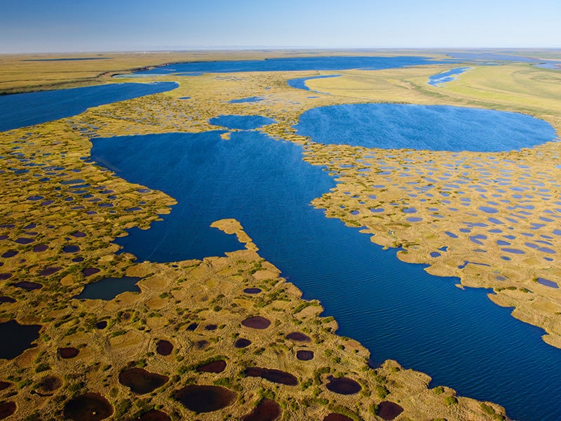 Teshekpuk Lake is one of the most important and sensitive wetland complexes in the circumpolar Arctic.
(Florian Schulz / visionsofthewild.com)