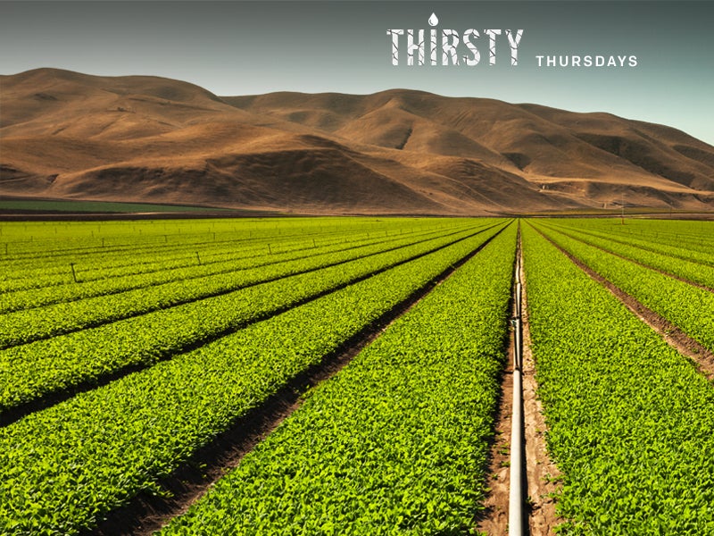 California agriculture uses about 80 percent of the state’s developed water supply.
(Pgjam/iStock Photo)