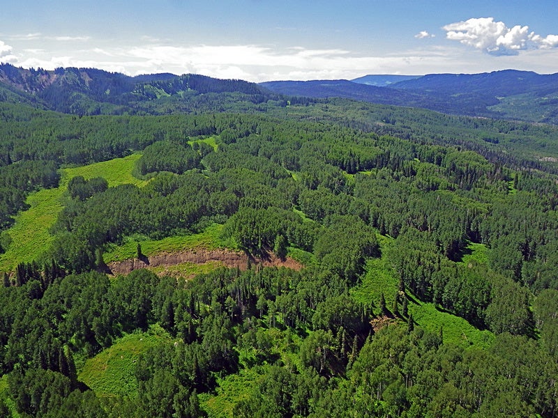 The richly forested lands of the Thompson Divide in western Colorado.
(Photo courtesy of Ecoflight)