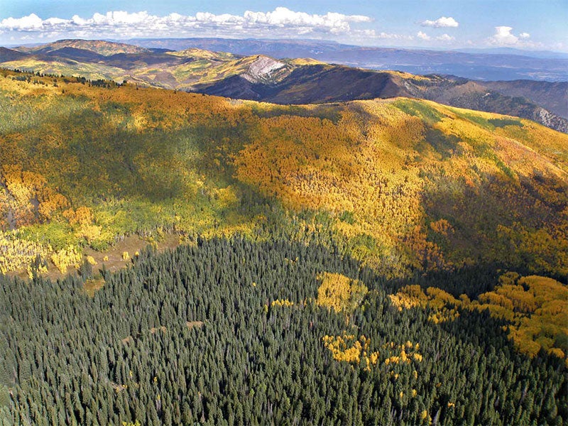 The Thompson Divide is a prized refuge of public lands in Colorado's White River National Forest.
(Photo courtesy of Ecoflight)