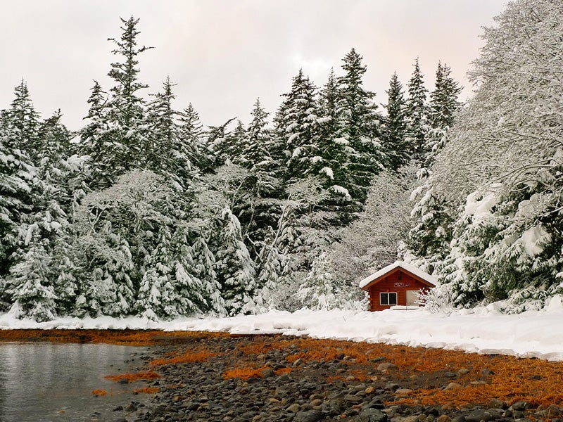 Snow covered trees and cabin on a fall day in the Tongass National Forest, Alaska.
("Camping Cove" by Joseph/CC BY-SA 2.0)