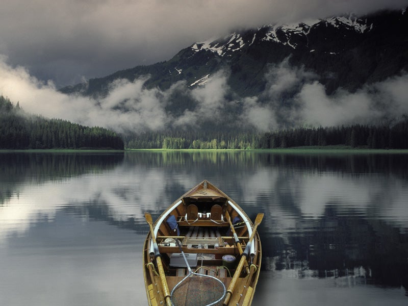 “The roadless rule will help small businesses like ours,” said Hunter McIntosh of The Boat Company, which operates a small tour business in the region. “The natural values of intact watersheds are essential for the visitor industry in Southeast Alaska. Very few folks will pay to go see clearcuts and decaying logging roads. There are thousands of jobs in Southeast Alaska in recreation and tourism. And there are thousands more in the seafood industry, which depends critically on salmon spawning streams in the old growth forests of the Tongass.”
(NancyS / Shutterstock)