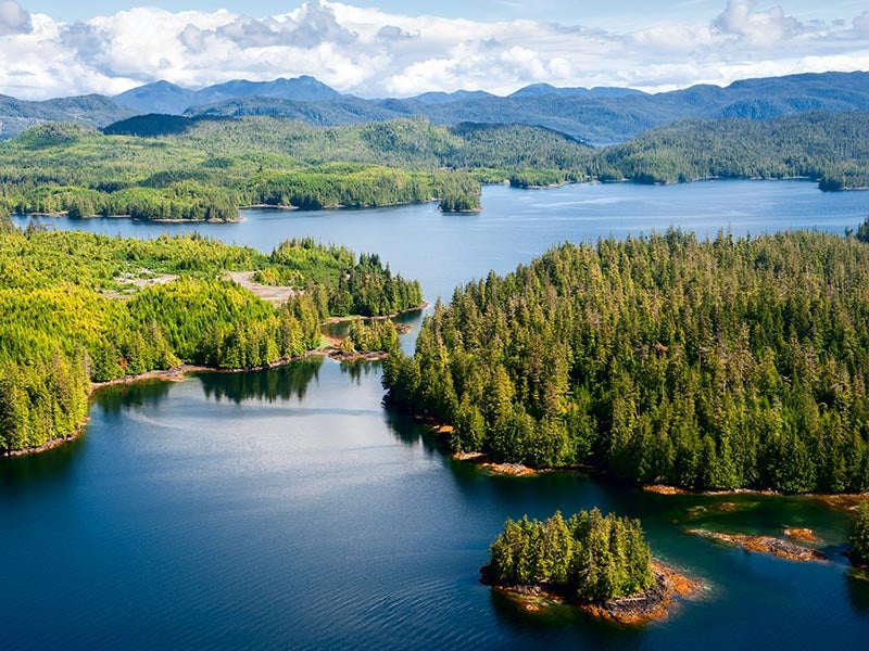 A recent court victory halted a timber sale on Prince of Wales Island in Alaska.
(ANDREA IZZOTTI / GETTY IMAGES)