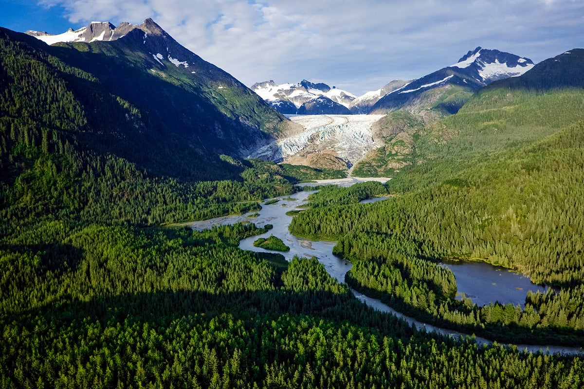 The old-growth trees of the Tongass National Forest provide a major buffer against climate change.