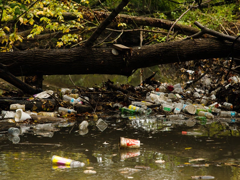 Trash collects in a tributary of the Anacostia River outside of Washington, D.C.
(Chesapeake Bay Program / Flickr)